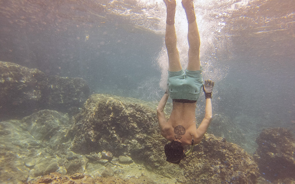 A Day in the Life of Elmo